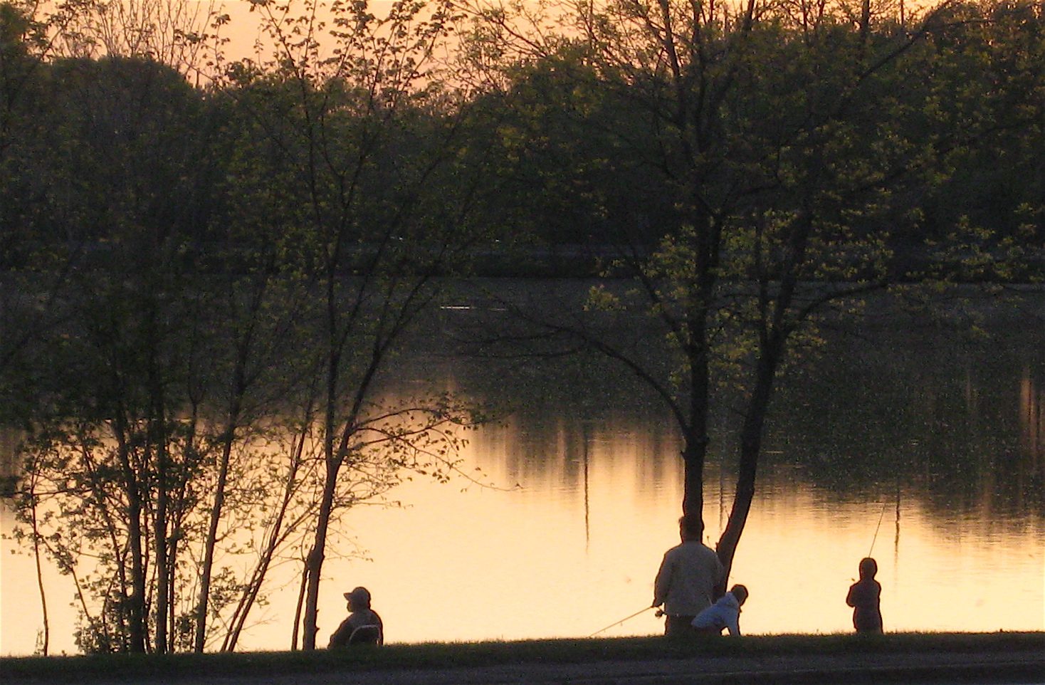 People fishing by a lake at sunset.