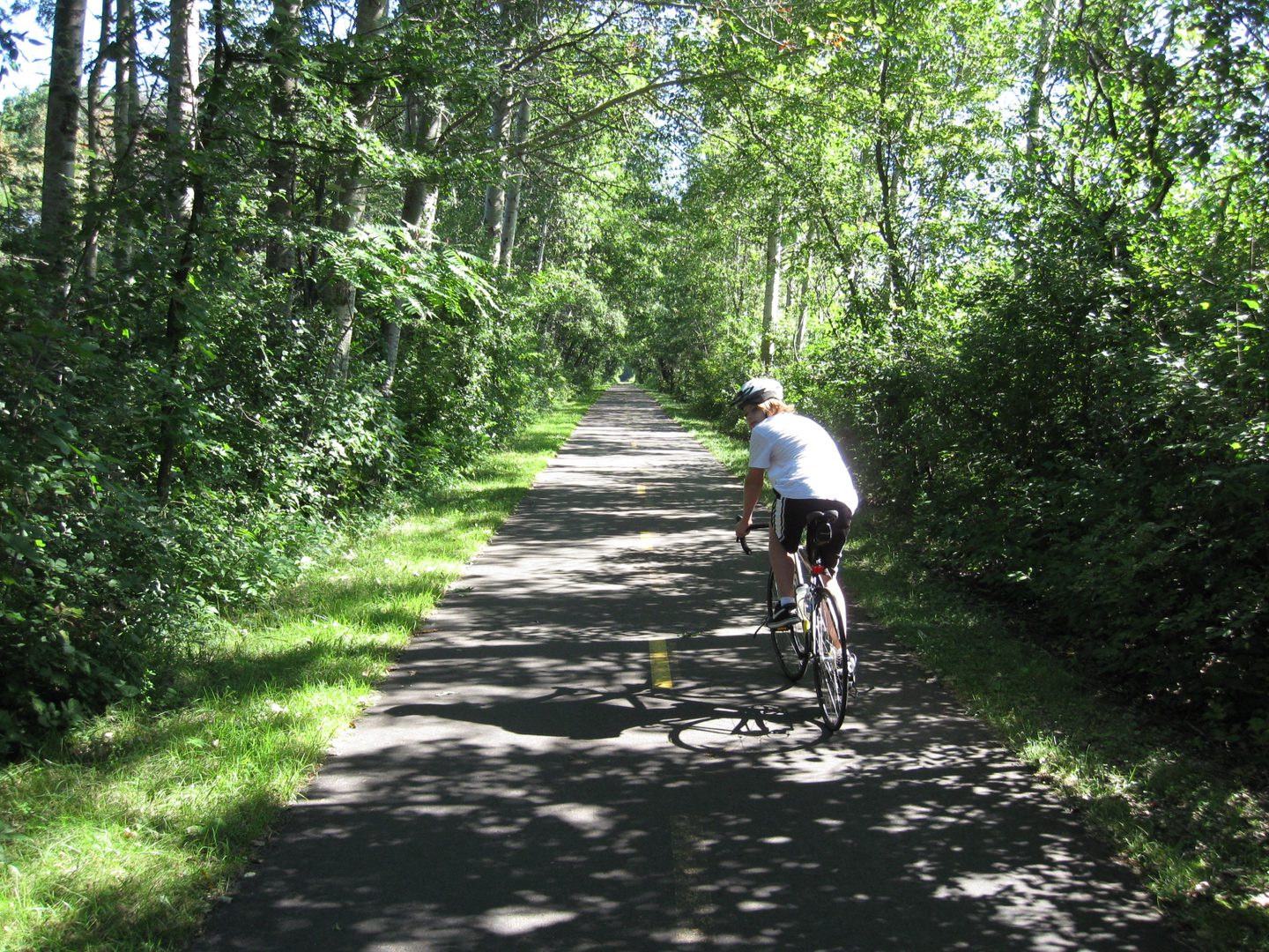 Cyclist riding through a shaded forest path.