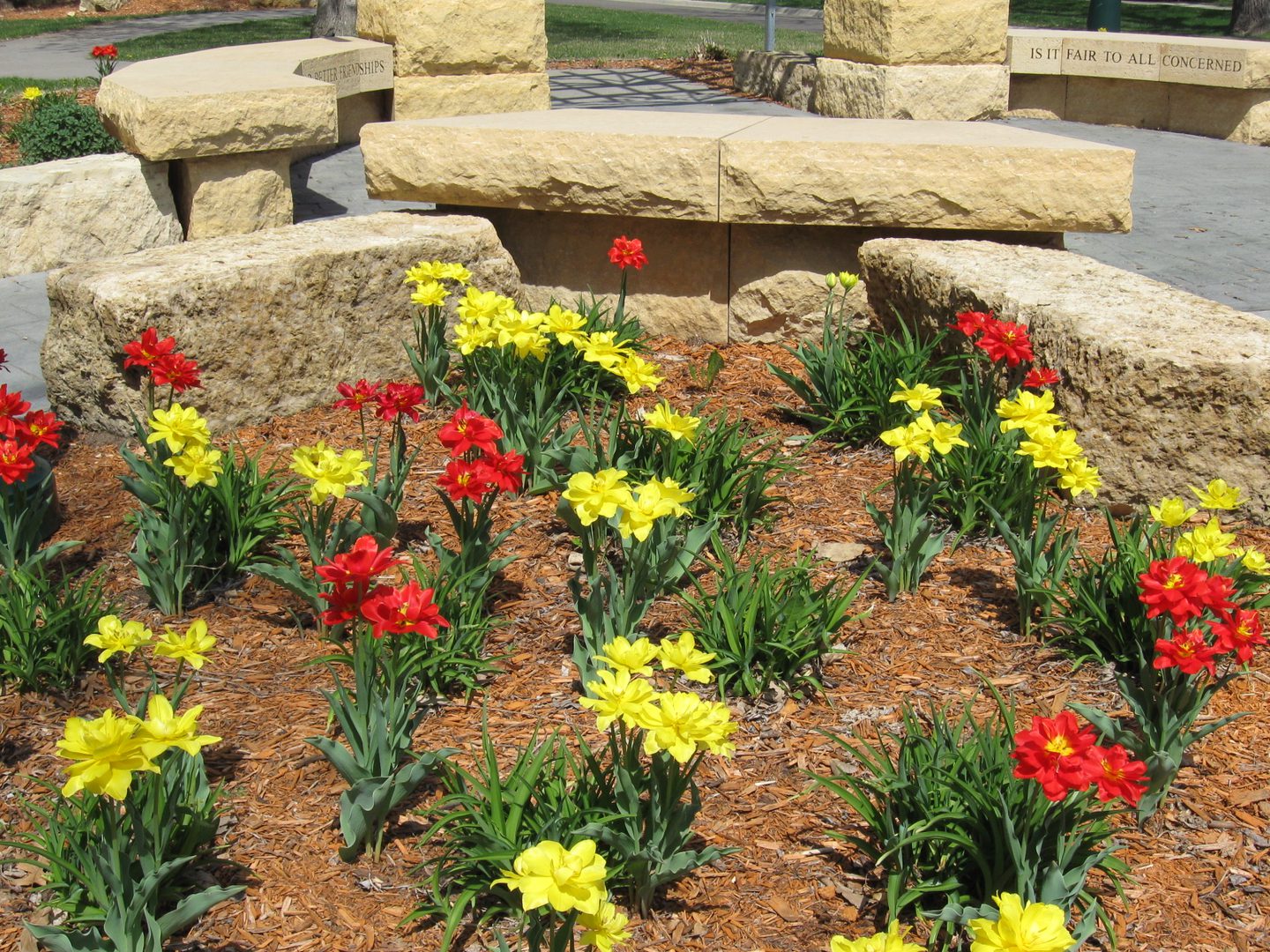 Yellow and red flowers in landscaped garden.