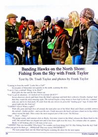 Group observing hawk banding demonstration outdoors.